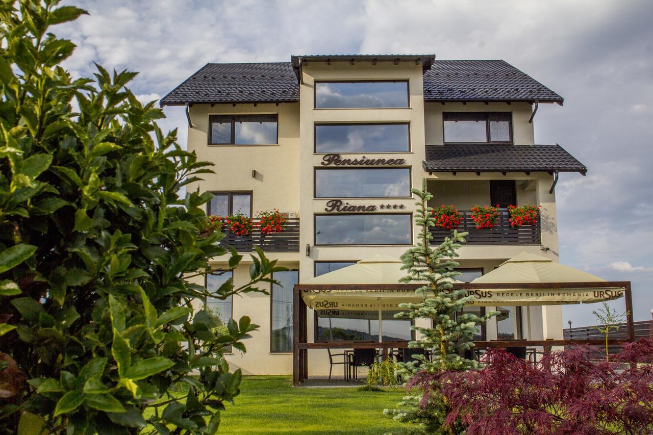 Hotel Riana à Adjud Extérieur photo
